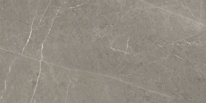 Керамогранит Skala К-2202/MR "Серый" Kerranova купить на сайте «Эмарти», смотреть фото