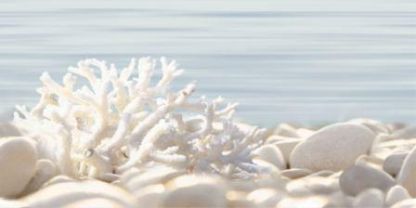 Декор Del mare Alma Ceramica купить на сайте «Эмарти», смотреть фото