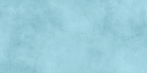 TWU09RCD606 плитка облицовочная Ричард / Richard 249*500 (12 шт в уп/80.676 м в пал)