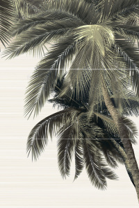 PWU09DLM2 панно из 3 плиток Дель Маре / Del Mare 500*747 (3 к-та в коробке)