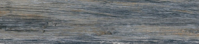 21569_full